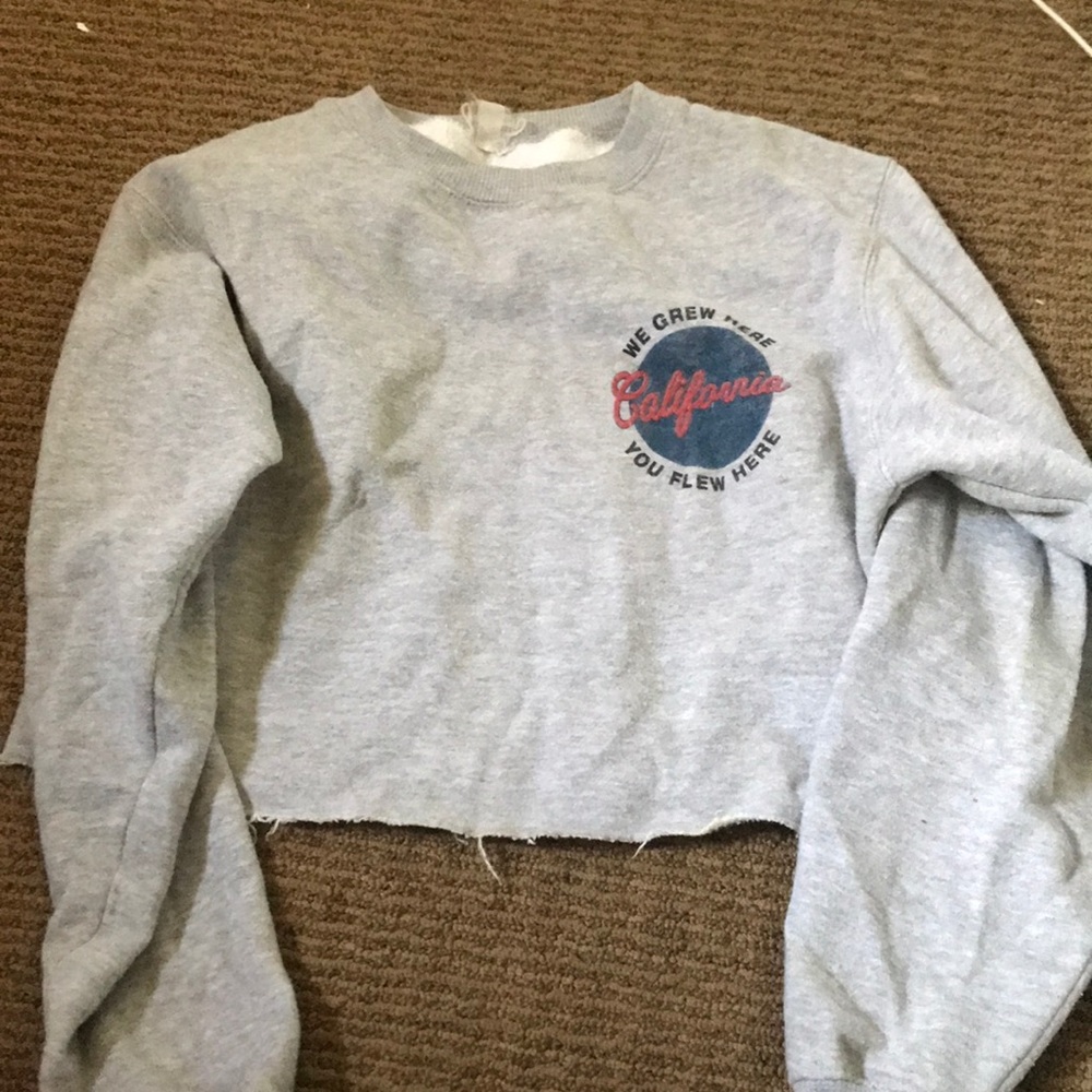 Brandy Melville Cropped Sweatshirt